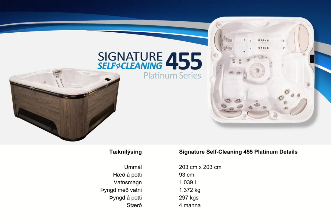 Hydropool model 455 Platinum 4ra manna rafmagnspottur