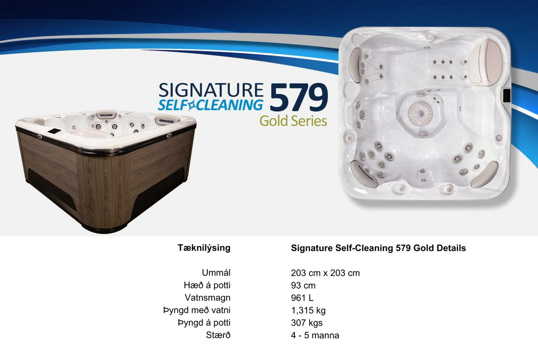 Hydropool model 579 Gold 5 manna rafmagnspottur